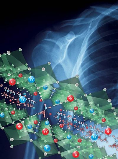 페로브스카이트 X-ray 디텍터 연구 그래픽. 사진 제공: 삼성전자