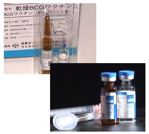 사진 위 경피용 BCG 백신, 사진 아래 피내용 BCG 백신.