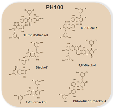 'PH-100'의 주요 구성 물질