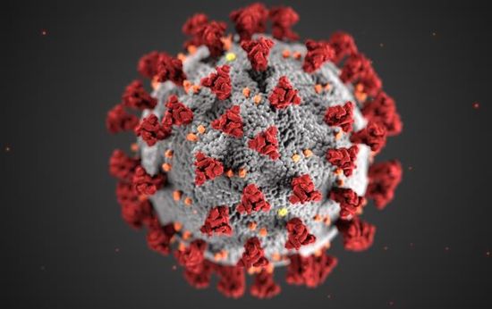 코로나 바이러스 스파이크 단백질 입체구조. 이미지 출처: 미국 질병통제예방센터(CDC) 