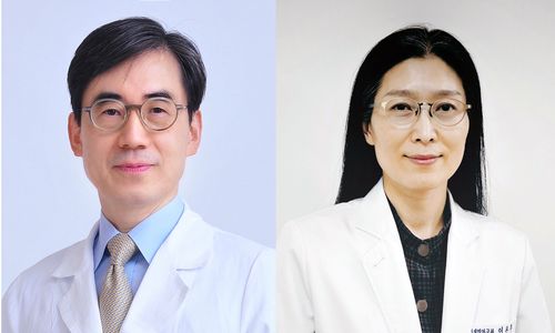 사진 왼쪽부터 김효수 교수, 이은주 교수.