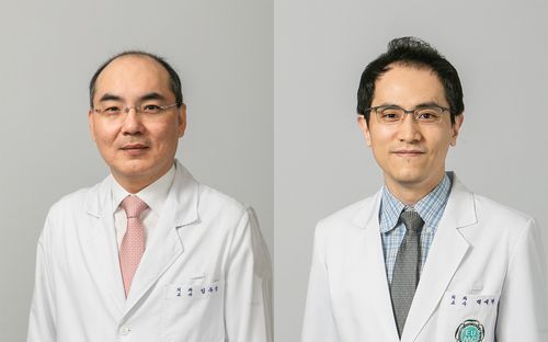 사진 왼쪽부터 임우성 교수, 백세현 교수.