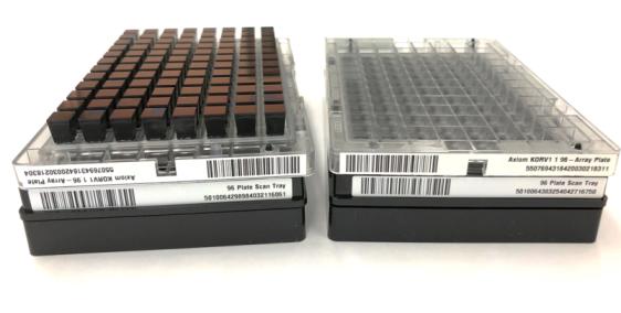 한국인유전체칩 제품 사진. 한번에 96개 샘플 분석이 가능하다. 사진 제공: 국립보건연구원