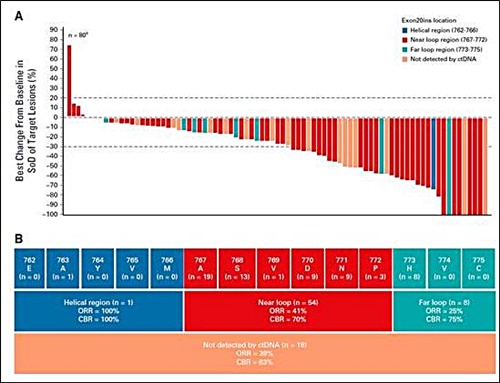 (A)81명을 대상으로 아미반타맙의 치료 효과를 표시한 그래프. 그래프가 아래를 향할수록 암이 줄어든 것으로 대다수의 환자에서 암이 줄어든 것으로 확인됐다. B)EGFR 엑손20 돌연변이의 경우 다양한 변이가 존재하는데 파란색 그룹과 붉은색 그룹, 청녹색 그룹 모두에서 아미반타맙으로 암이 줄어든 것(ORR)으로 확인됐다.