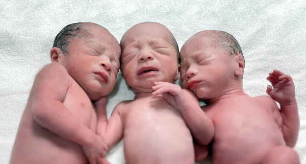 2022년 새해 첫날 고대안암병원에서 태어난 세쌍둥이. 사진 왼쪽부터 첫째(남) 둘째(여) 셋째(남)