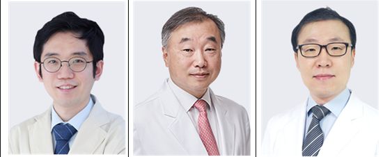 사진 왼쪽부터 이순규 교수, 조세현 교수, 정동진 교수.
