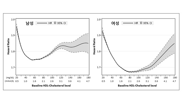 주요 심혈관 사건 위험 비율(Hazard Ratio)과 HDL-콜레스테롤 수치의 관계 그래프. U자 곡선이 여성에서 남성보다 늦게 상향된다.