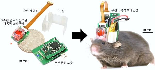 약물 전달과 뇌 신호 측정이 동시에 가능한 무선 다목적 브레인칩과 이를 장착한 생쥐 사진