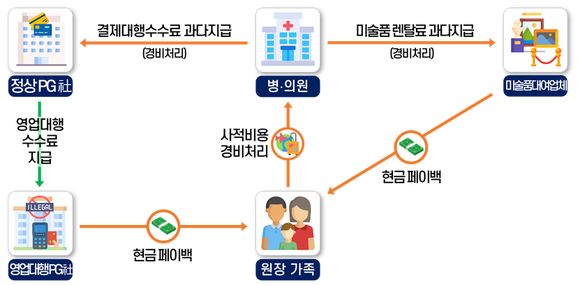 불법 PG업체, 미술품 대여업체, 온라인 교육기관 등을 통해 페이백 받아 탈루한 병・의원. 이미지 출처: 국세청