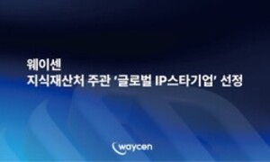 웨이센, '글로벌 IP 스타기업' 선정..."AI 내시경 입지 강화" - 뉴스 썸네일 이미지